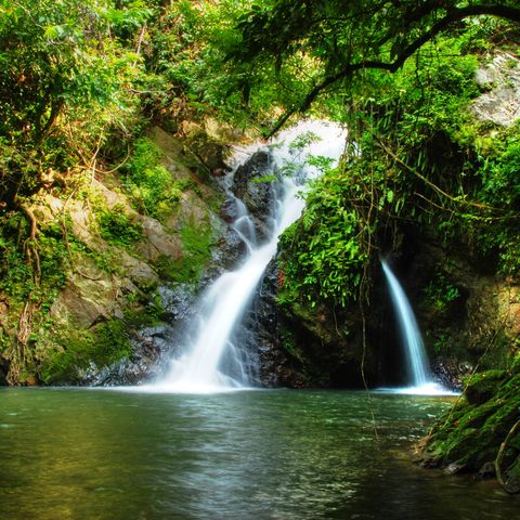 Afbeelding omschrijving