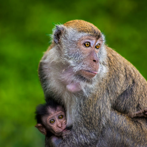 Afbeelding omschrijving