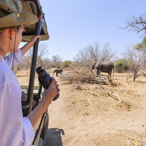 Afbeelding omschrijving