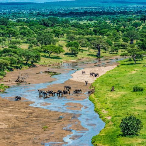 Afbeelding omschrijving