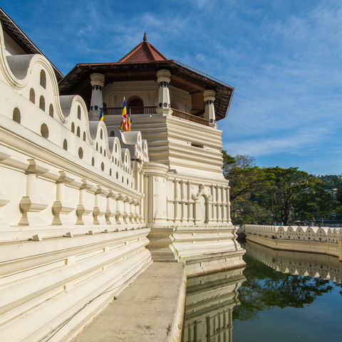 Afbeelding omschrijving