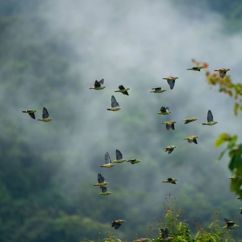 Afbeelding omschrijving