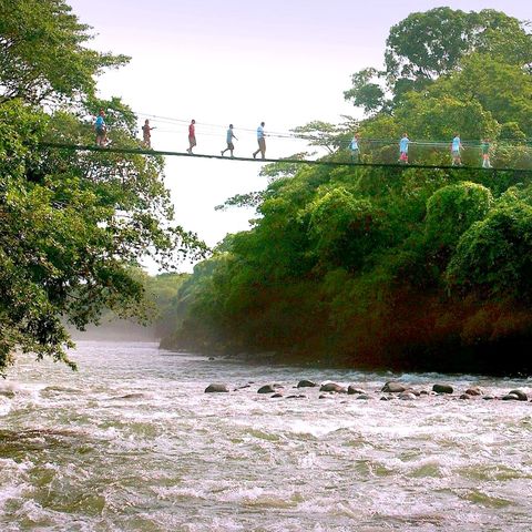 Afbeelding omschrijving