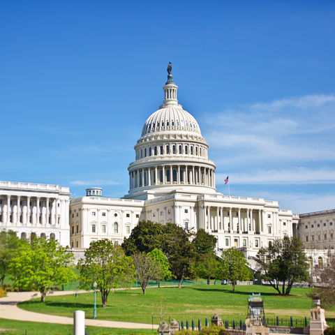 Afbeelding omschrijving