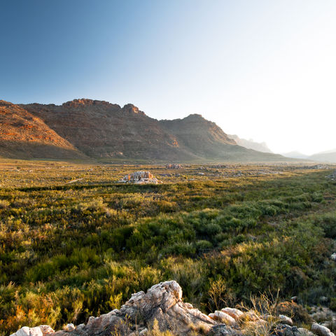 Afbeelding omschrijving