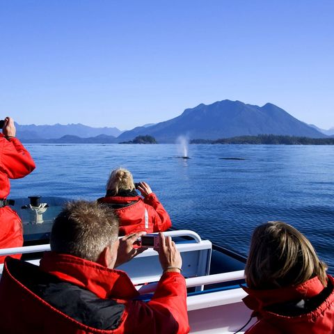 Afbeelding omschrijving