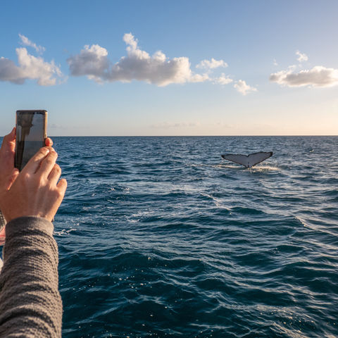 Afbeelding omschrijving