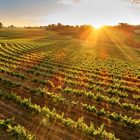 Afbeelding omschrijving