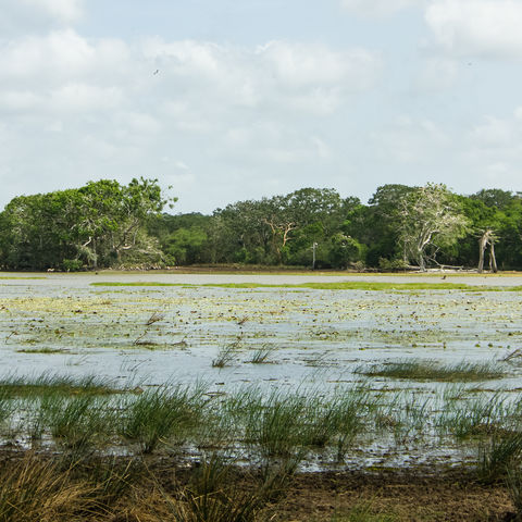 Afbeelding omschrijving