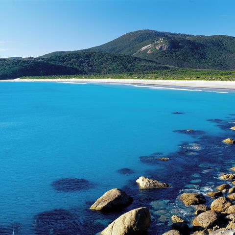 Afbeelding omschrijving