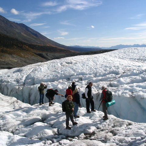 Afbeelding omschrijving