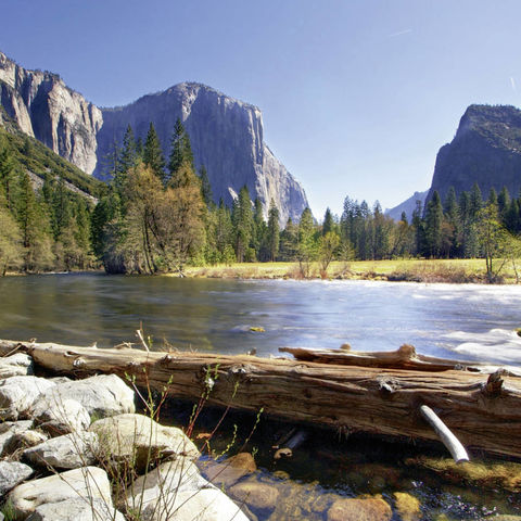 Afbeelding omschrijving