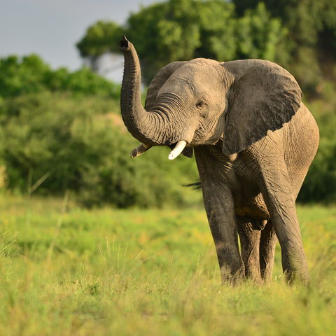 Afbeelding omschrijving