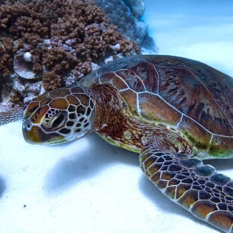 Afbeelding omschrijving