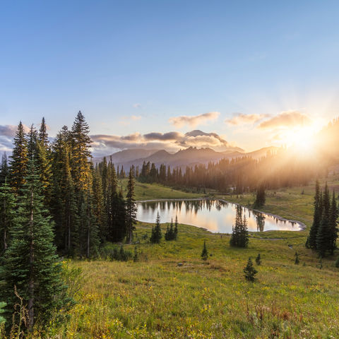 Afbeelding omschrijving