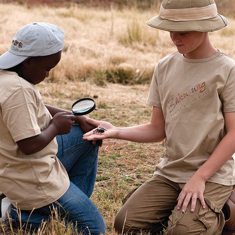 Afbeelding omschrijving