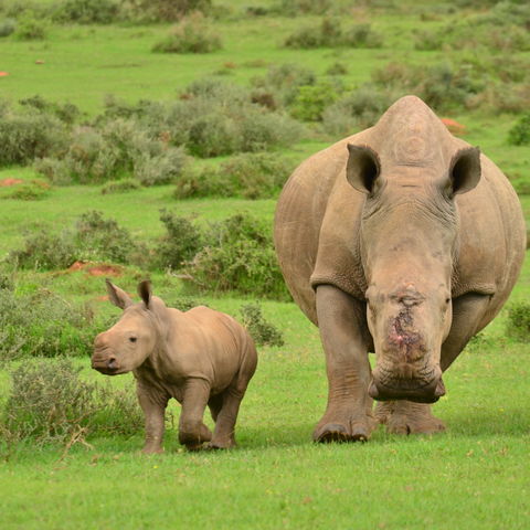 Afbeelding omschrijving