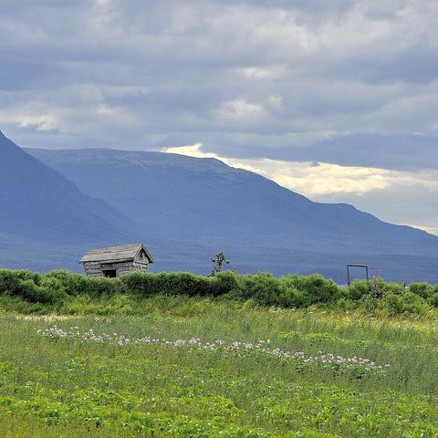 Afbeelding omschrijving