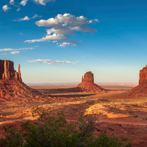 Afbeelding omschrijving