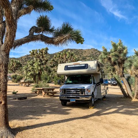 Afbeelding omschrijving