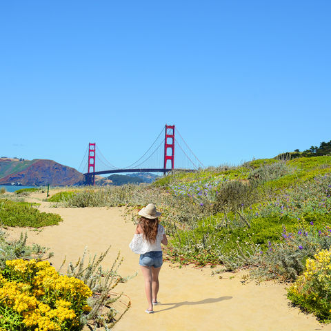 Afbeelding omschrijving