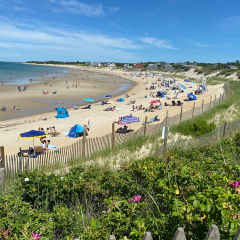 Afbeelding omschrijving