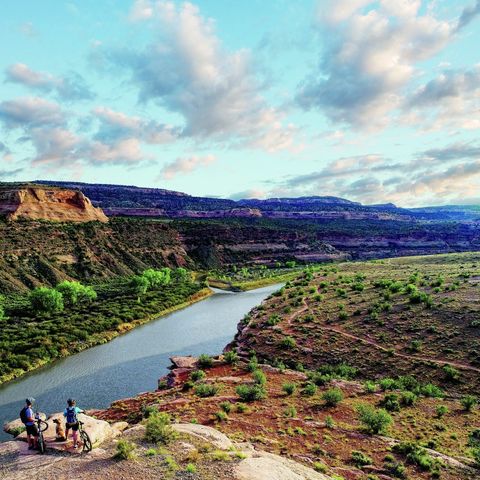 Afbeelding omschrijving