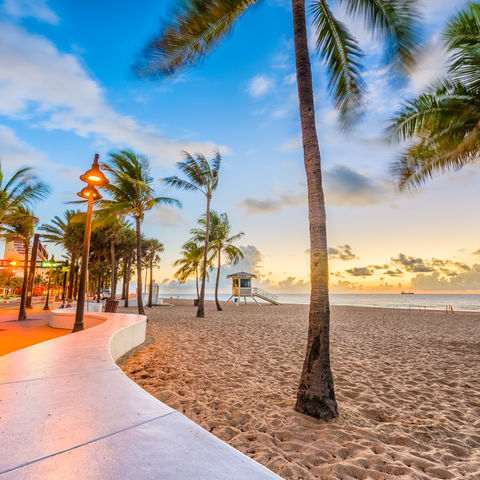 Strand boulevard van Miami in Florida