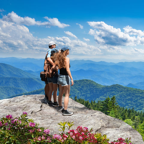 Afbeelding omschrijving