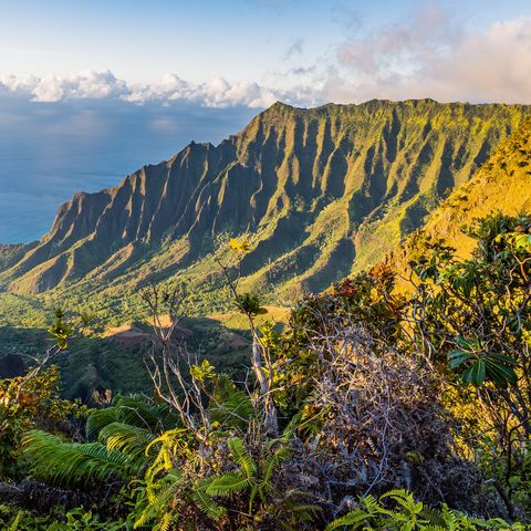 Afbeelding omschrijving