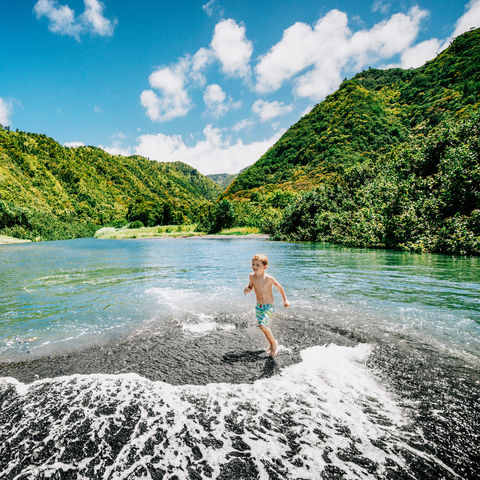 Afbeelding omschrijving