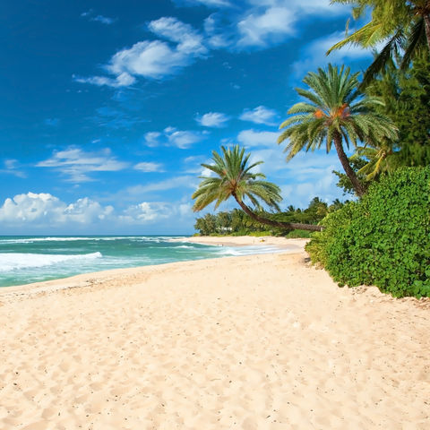 Afbeelding omschrijving