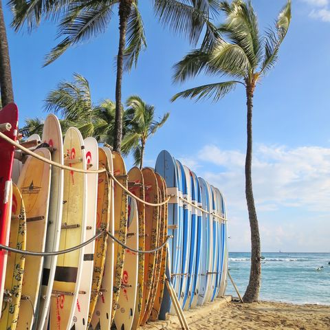 Afbeelding omschrijving