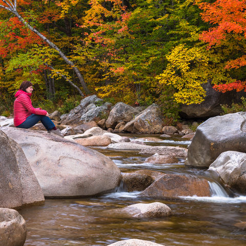 Afbeelding omschrijving