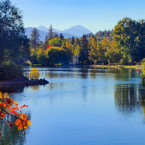 Afbeelding omschrijving