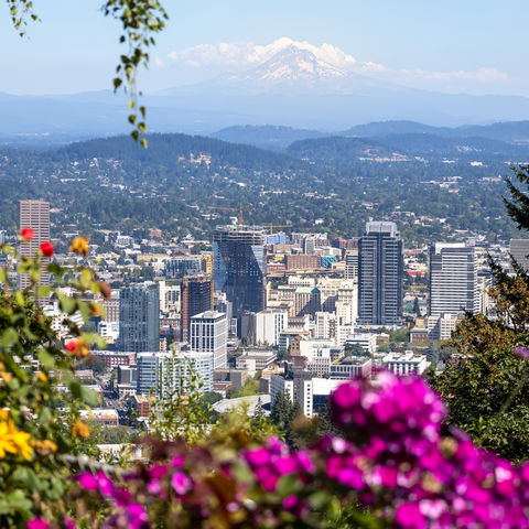 Afbeelding omschrijving