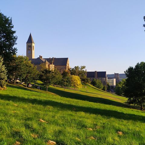 Afbeelding omschrijving