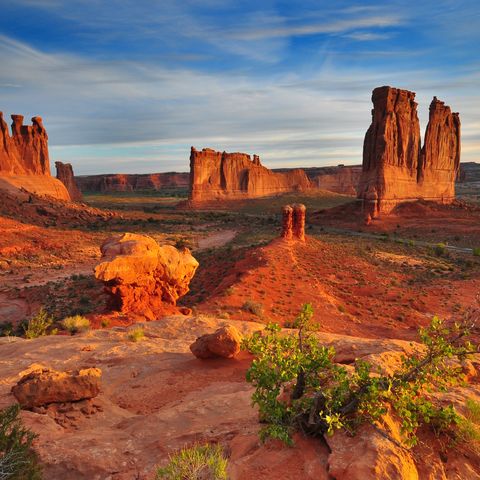 Afbeelding omschrijving