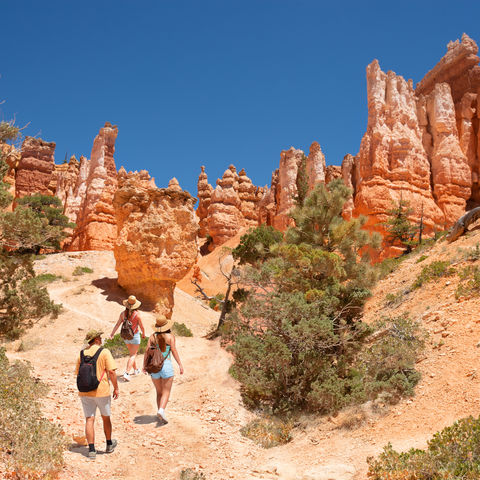 Afbeelding omschrijving