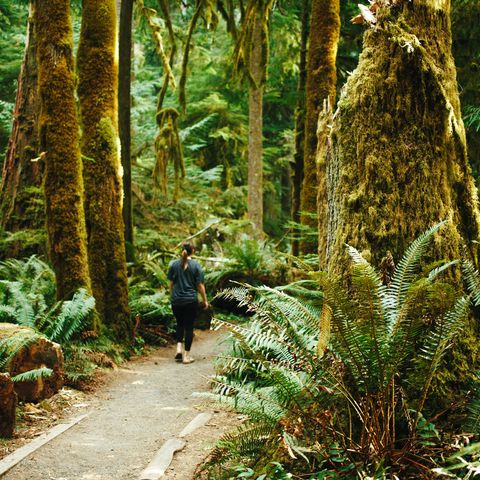 Afbeelding omschrijving