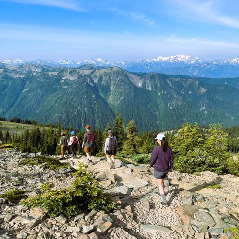 Afbeelding omschrijving