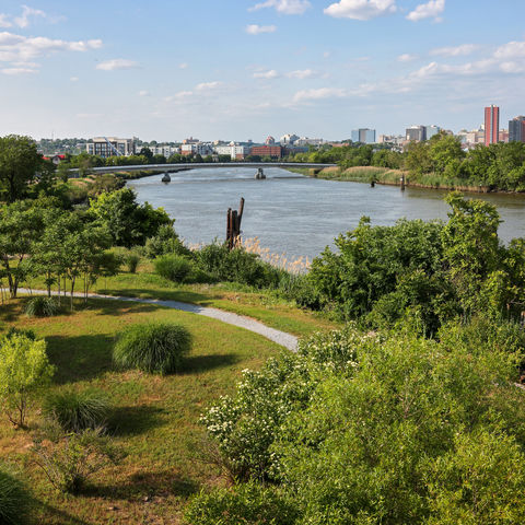 Afbeelding omschrijving