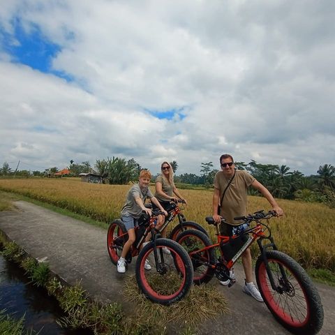 Afbeelding omschrijving