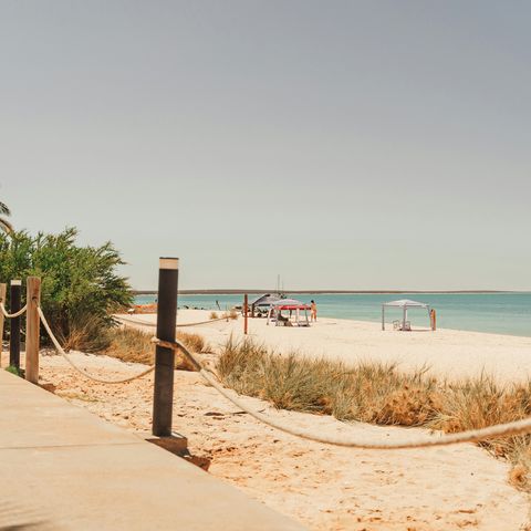 Afbeelding omschrijving