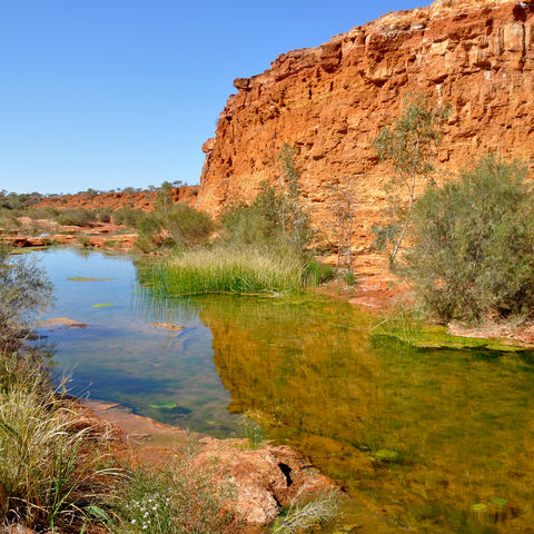 Afbeelding omschrijving