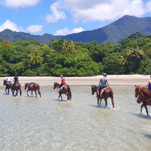 Afbeelding omschrijving
