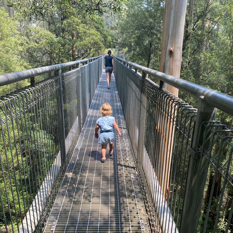 Afbeelding omschrijving