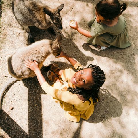 Afbeelding omschrijving