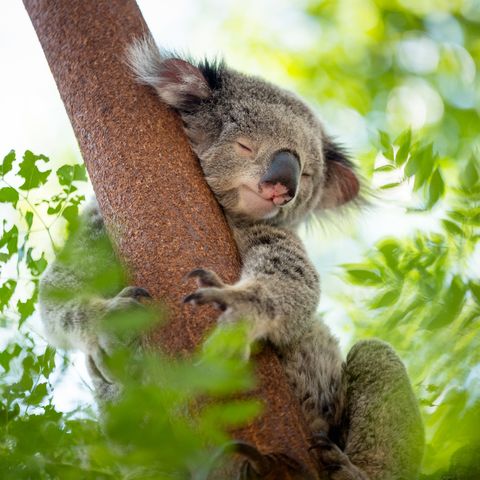 Afbeelding omschrijving