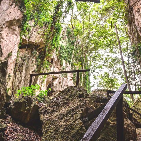 Afbeelding omschrijving